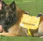 servicehund Zebbe emeritus